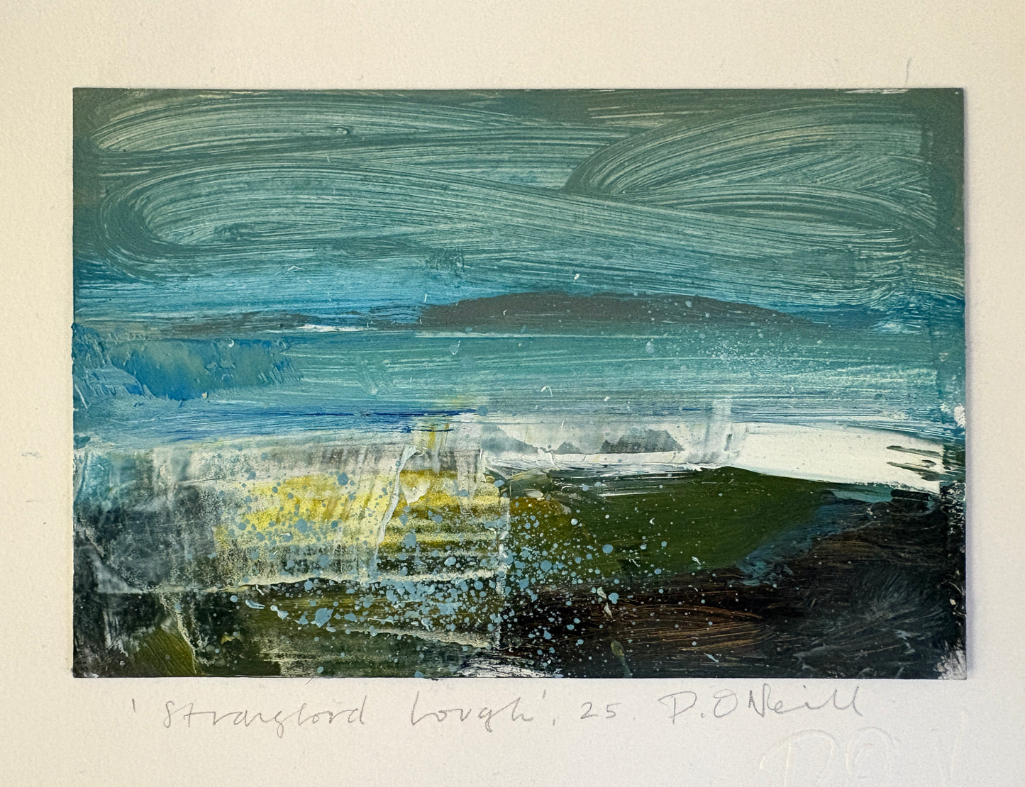 Strangford Lough