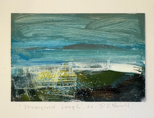 Strangford Lough