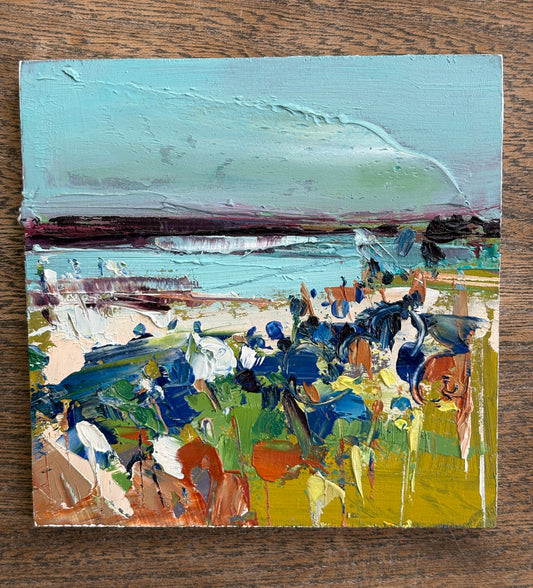 Ards Penninsula, County Down