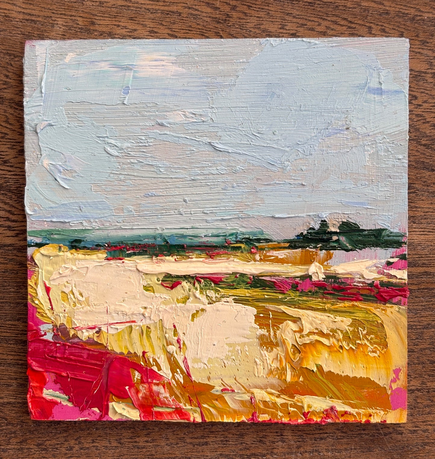 Hayfields, Summer, Ards